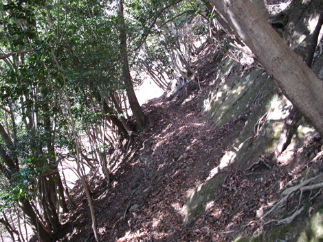 20190108hike (55)